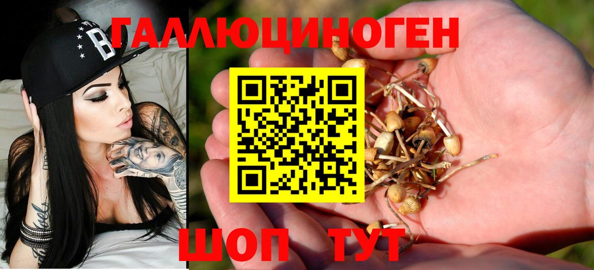 Псилоцибиновые грибы мухоморы Сокол