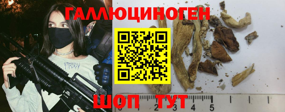 Сокол  Галлюциногенные грибы MAGIC MUSHROOMS  Вход с VPN 